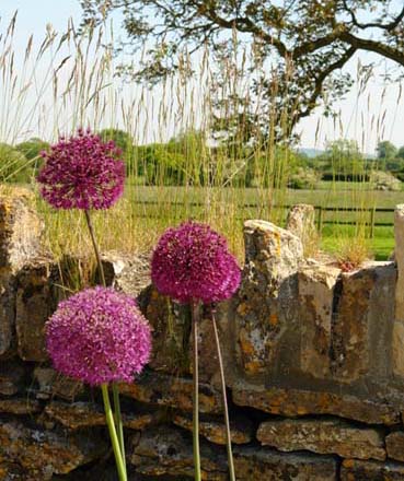 Garden Studio on Garden Design Studio